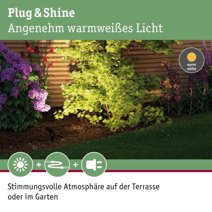 Actual product image Paulmann Plug & Shine Basisset Sting (520 lm, IP67)