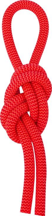 Salewa Rope (60 m)