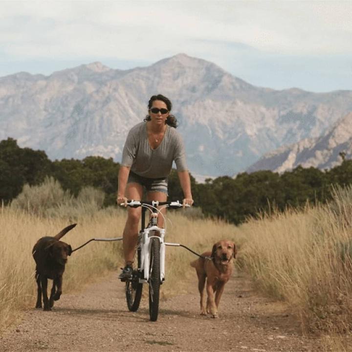 Immagine prodotto Pet Ego Vincenzo (Cane, Moto)