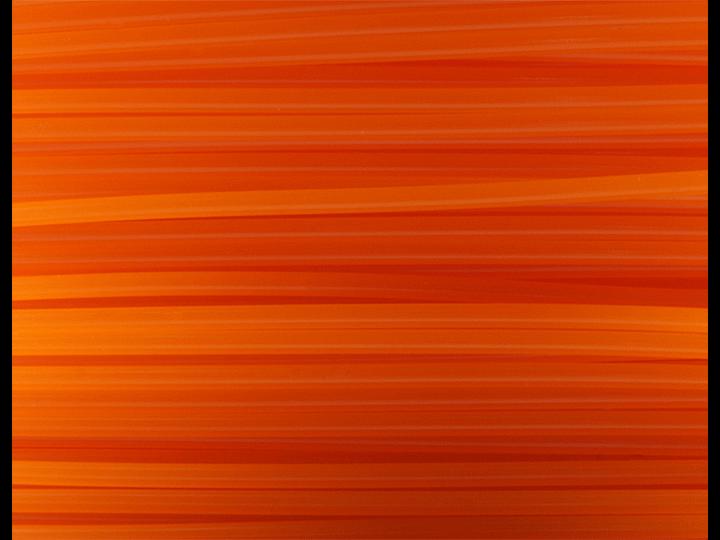 Productafbeelding FlashForge Draad (PLA, 1.75 mm, 500 g, Oranje)