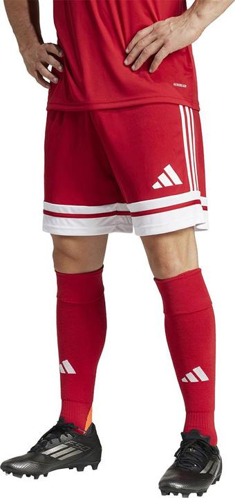 Actual product image adidas Squadra 25 Short (3XL)