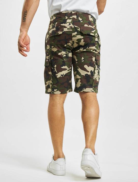 Actual product image Dickies Millerville Shorts (28)