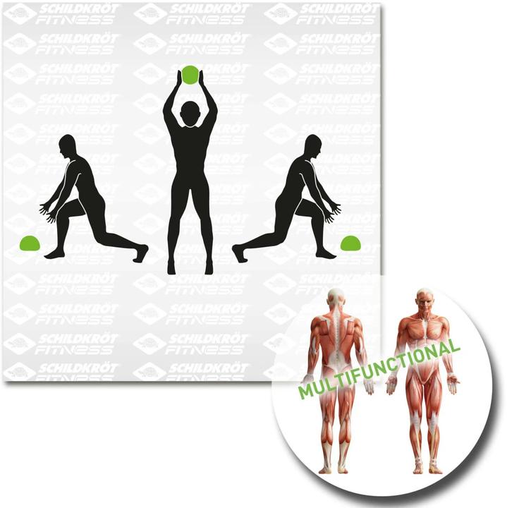 Produktbild Schildkröt Slamball (3 kg, 235 mm)