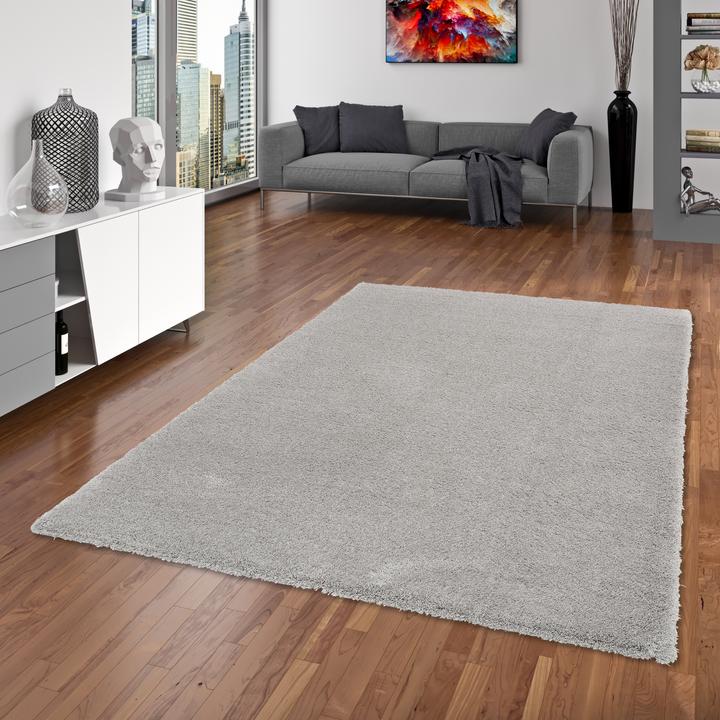 Produktbild Snapstyle Luxus Hochflor Langflor Teppich Harmony (80 x 160 cm)