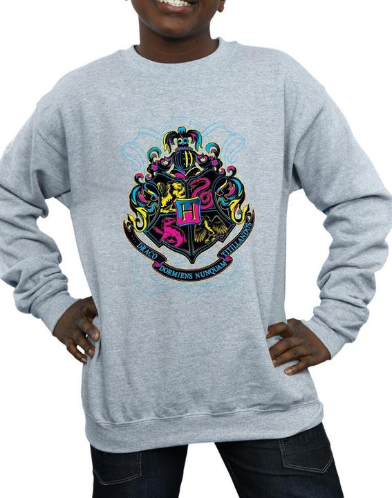 Actual product image Boys Neon Hogwarts Crest Sweatshirt (140, 146)