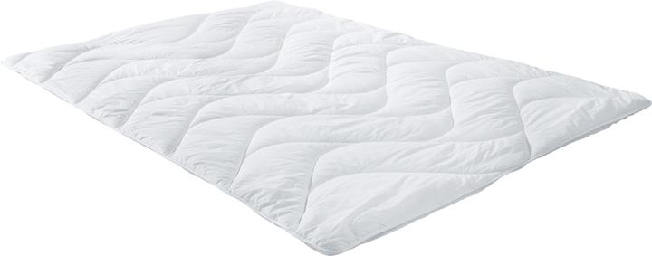 Actual product image Erwin Müller Lech (1200 g, 135x200 cm)