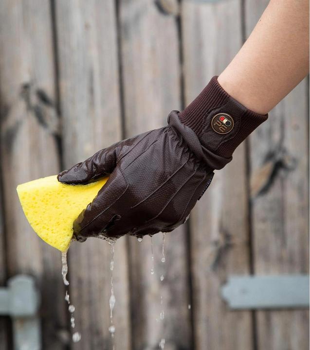 Actual product image Premier Equine Dajour (XXL)