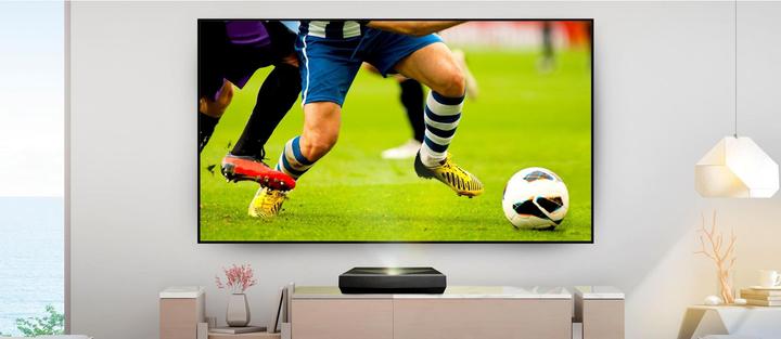 Actual product image Optoma ALR101 (100", 16:9)