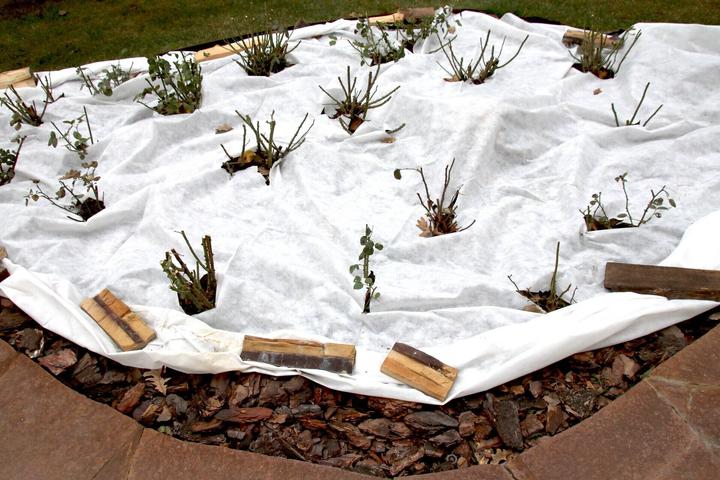 Actual product image Aquagart 25m² Gartenvlies Unkrautvlies Drainagevlies 150g 1m br.