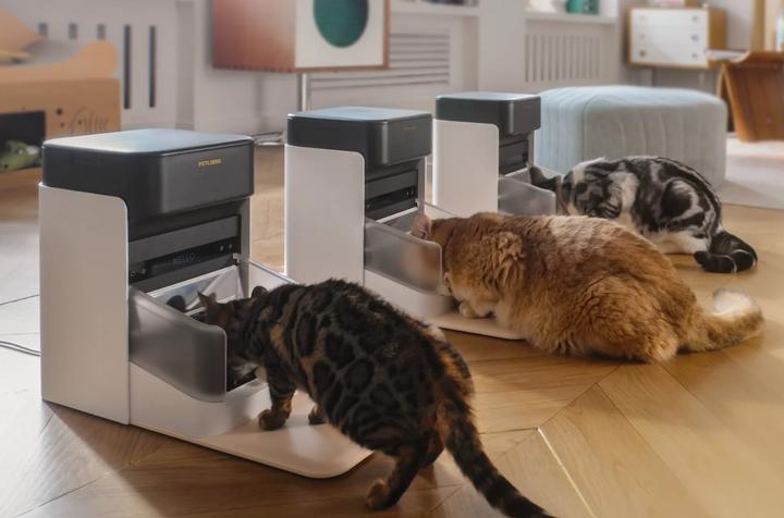 Actual product image Petlibro One RFID Pet Feeder (3 l)
