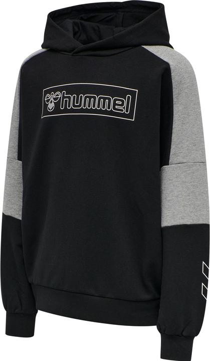 hummel Boxline Hoodie
