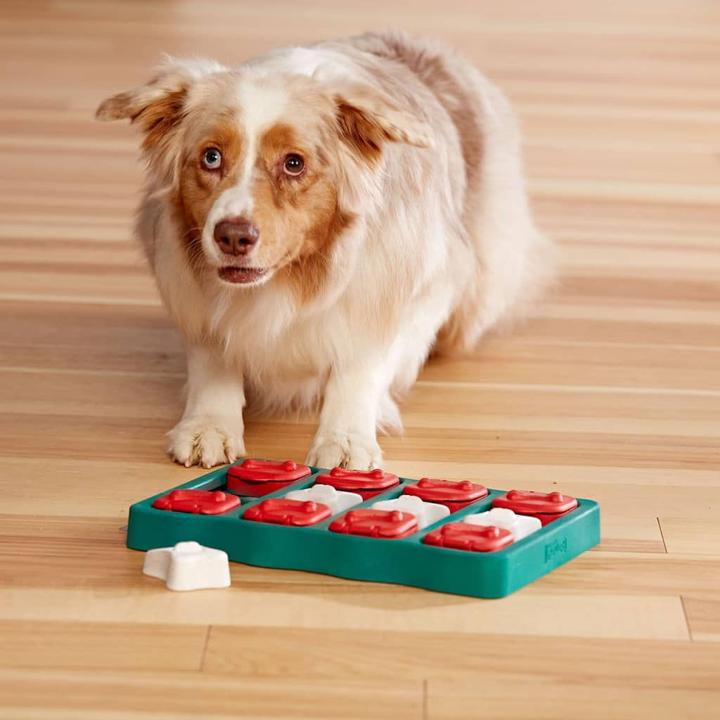 Actual product image Nina Ottosson dog brick (Intelligence toy dog)