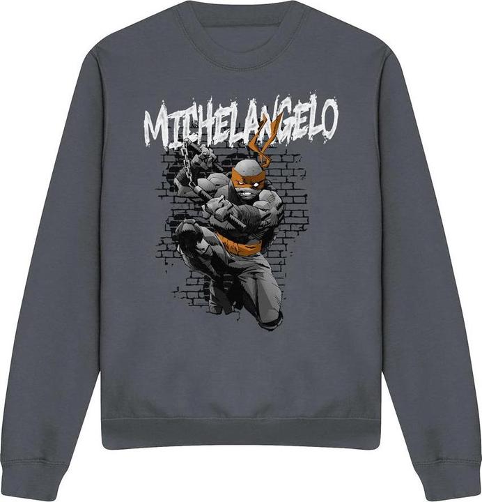 Image du produit Teenage Mutant NT - Sweat - Adulte (M)