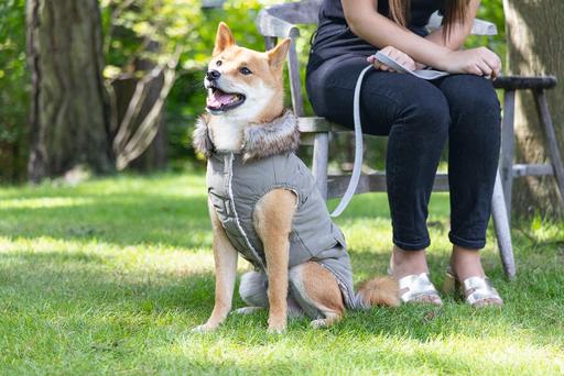 Immagine prodotto Designed by Lotte Cappotto per cani Philos (XXXL, Cappotto per cani)