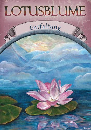 Actual product image Magic of the earth oracle cards (German, Steven Farmer, 2011)