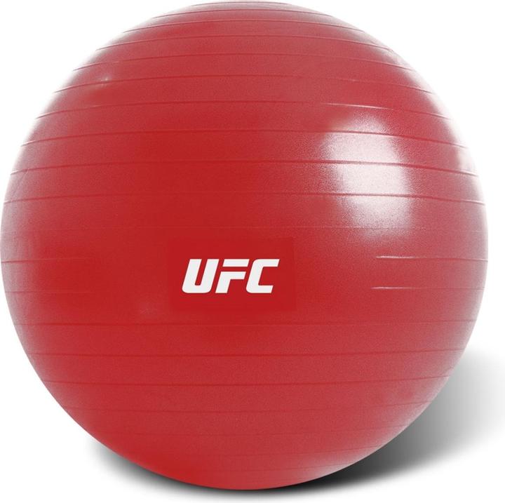 Immagine prodotto UFC Fitball - 65cm (65 cm)