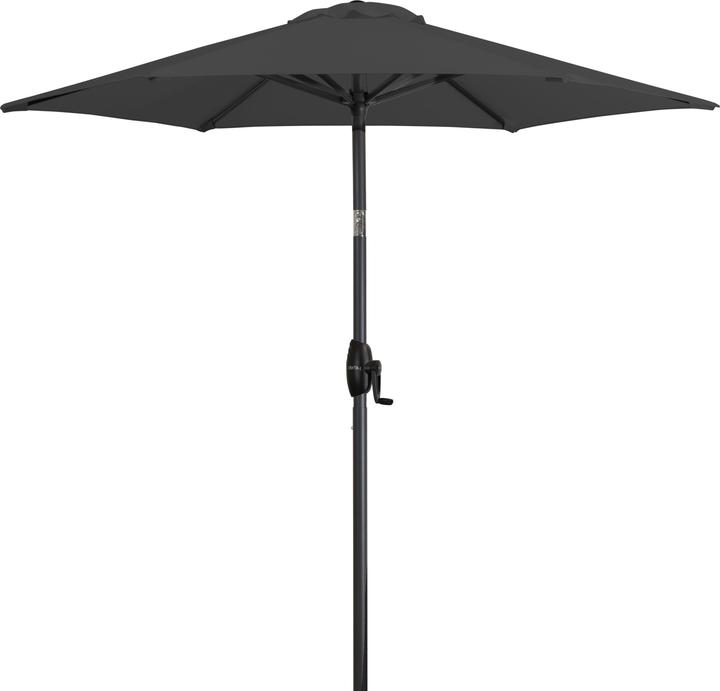 Image du produit Derby Basic Lift Neo (1.80 m)
