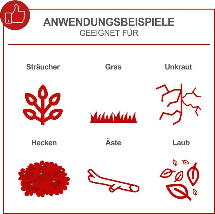 Immagine prodotto Scheppach MTC42-5P (Tagliasiepi a benzina)