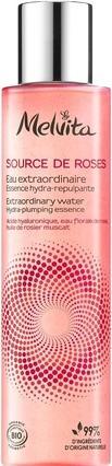 Actual product image Melvita Nectar de Lumiere Créme Perfectrice Eclat 50 ml (50 ml, 24h cream)