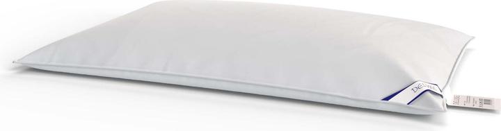 Image du produit Capistrano Oreiller de luxe (65 x 100 cm)