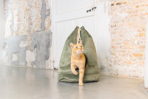 Produktbild Designed by Lotte Vilar (Katze)