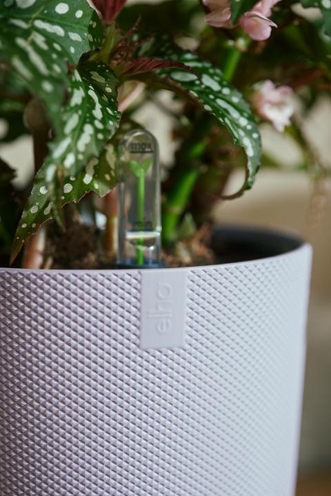 Image du produit Elho Jazz rond (18.90 cm)