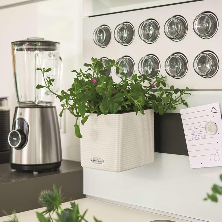 Image du produit Lechuza Green Wall Home Kit (15 cm)
