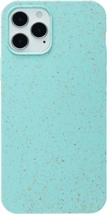 Bleu puriste