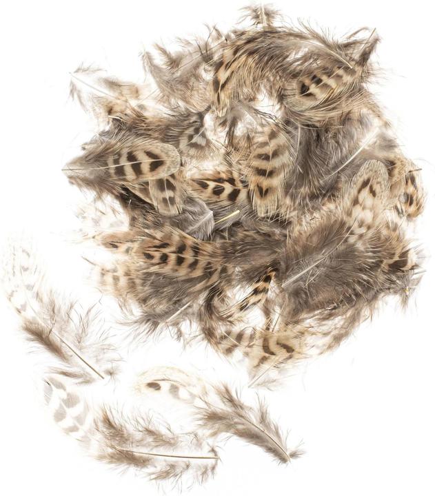 Produktbild Glorex Federn Huhn 5-12 cm, 10g, Braun