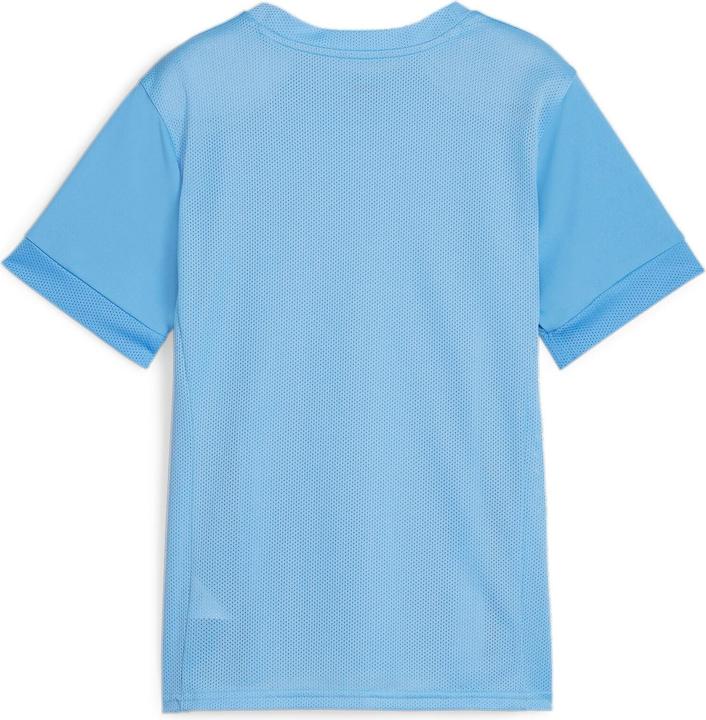 Immagine prodotto Puma Maglia da gara teamGOAL jr (128)