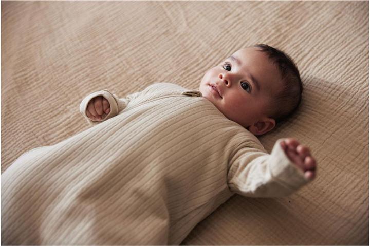 Produktbild Jollein Schlafsack für Neugeborene mit Innensack (60 cm)
