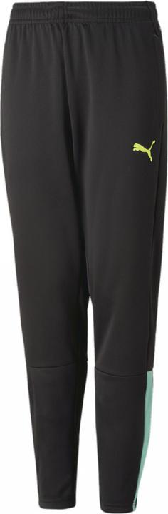 Image du produit Puma pantalon d'entraînement teamLIGA Jr-657243 (176)
