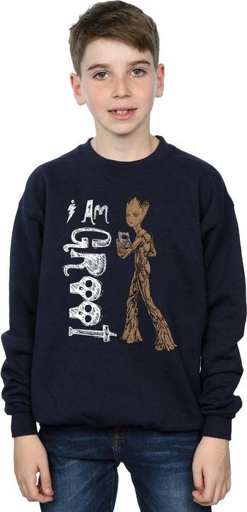 Actual product image Boys Avengers Infinity War I Am Teenage Groot Sweatshirt (140, 146)