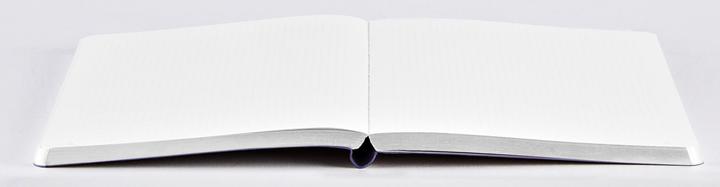 Produktbild Nuuna Notizbuch (13.5 x 20.3 cm, Gepunktet, Harter Einband)