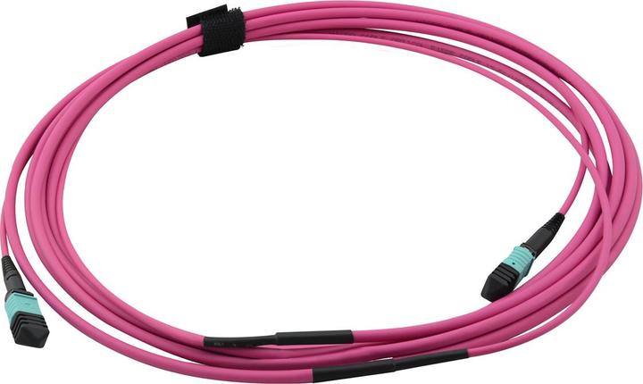 Immagine prodotto Value Cavo dorsale MPO (CAT6, 3 m)