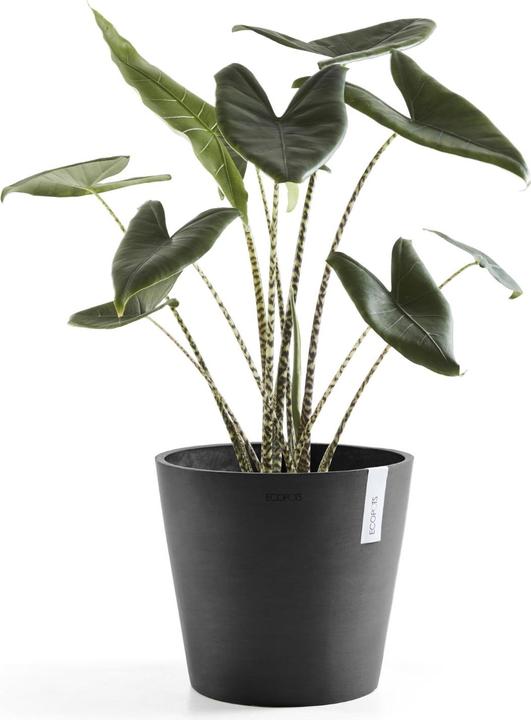 Actual product image Ecopots Amsterdam + Water reservoir (40 cm)