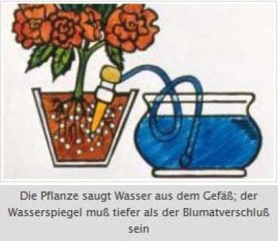 Produktbild Blumat Endtropfer XL (Tonkegel)