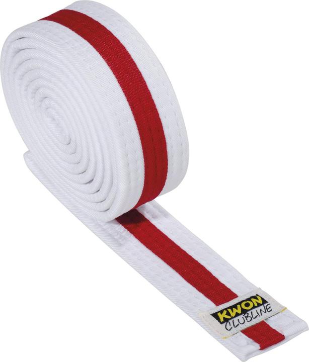 Actual product image Kwon Martial arts belt