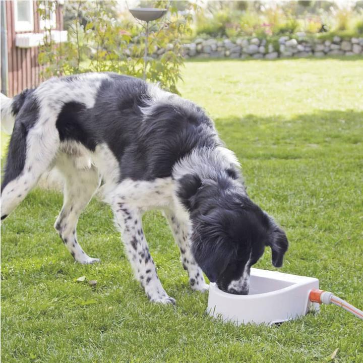 Produktbild Trixie Automatische Outdoor-Hundetränke (1.50 l)