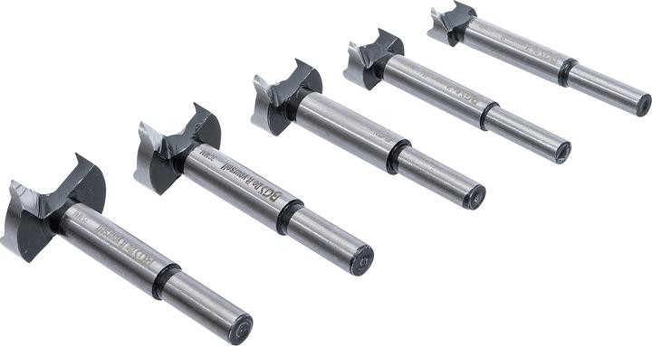 Immagine prodotto BGS Punta Forstner impostata (25 mm, 20 mm, 30 mm, 15 mm, 35 mm)