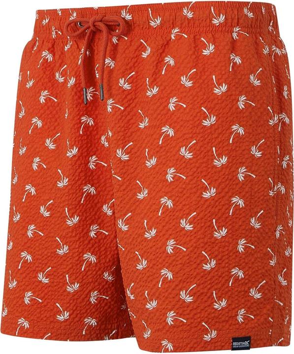 Actual product image Regatta Mens Loras Palm Swim Shorts (XL)