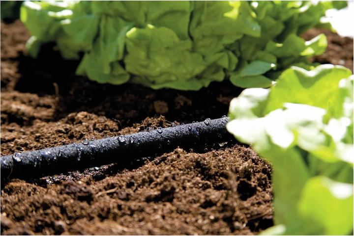 Produktbild Gardena Perlregner (Perlregner)