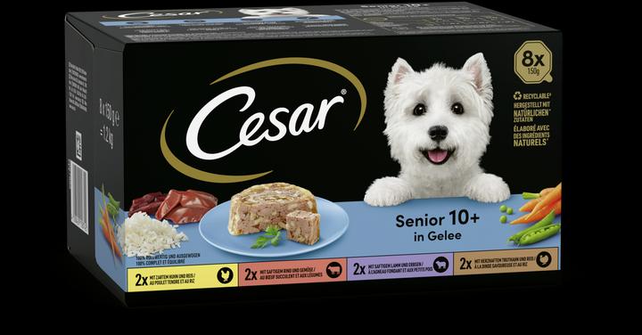 Actual product image Cesar Senior Multipack (Senior, 3 pcs., 1200 g)