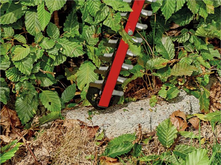 Produktbild Einhell Arcurra (Akkuheckenschere)