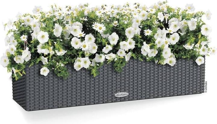 Actual product image Lechuza Balconera Cottage (19 cm)