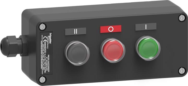 Actual product image Schneider Electric Push-button station XAWG310EX