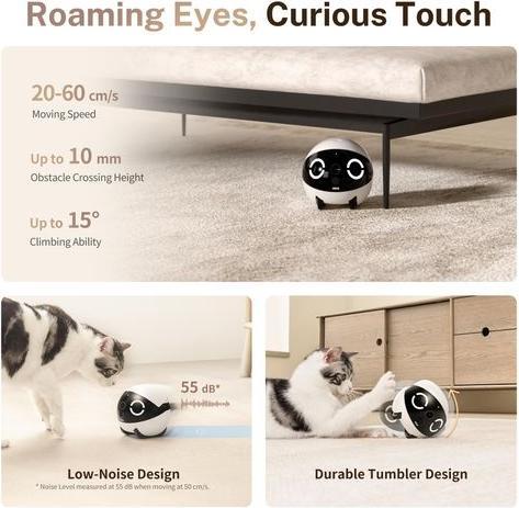 Actual product image Enabot Rola Mini Companion Robot (2304 x 1296 Pixels)