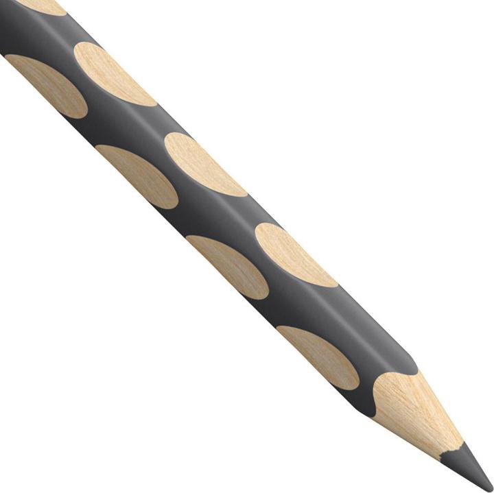 Produktbild STABILO Easycolors Linkshänder (Grau, 1 x)