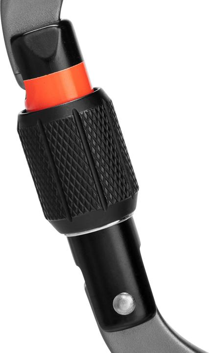 Actual product image Mammut Workhorse Screwgate