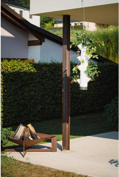 Image du produit Gusta Garden Sissi Fraise (48 cm)